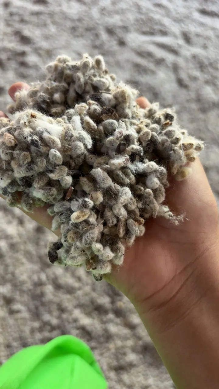 AHAM Investment Co. Ltd. - Gallery