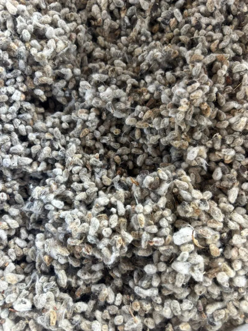 Raw Cotton