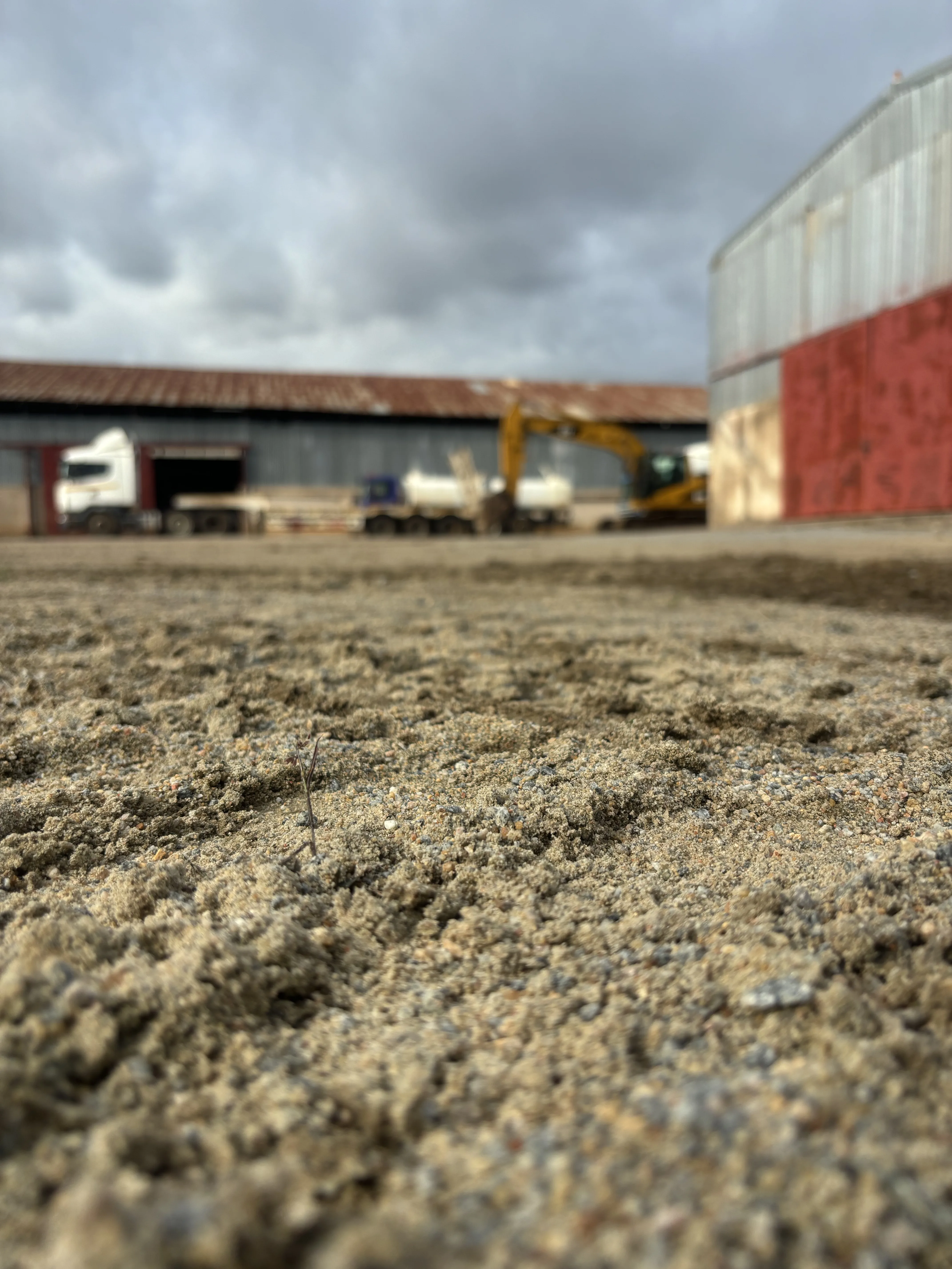 Forged in Brotherhood