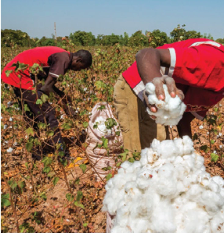 AHAM Investment Co. Ltd. - Gallery